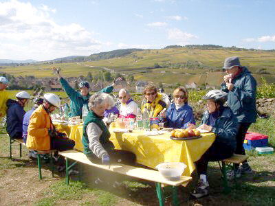 Lunch, Pommard Vineyard, France.
